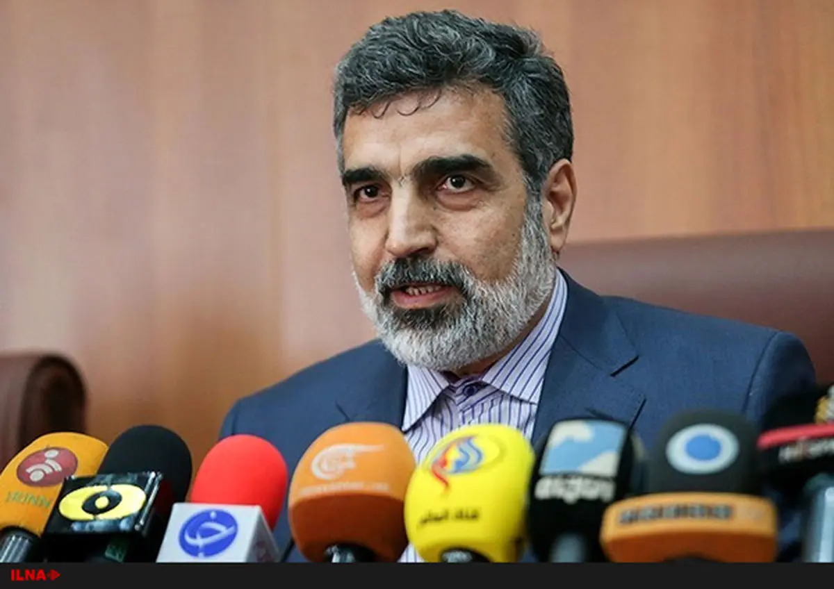 AEOI spox: Iran-IAEA current issues being followed up as usual