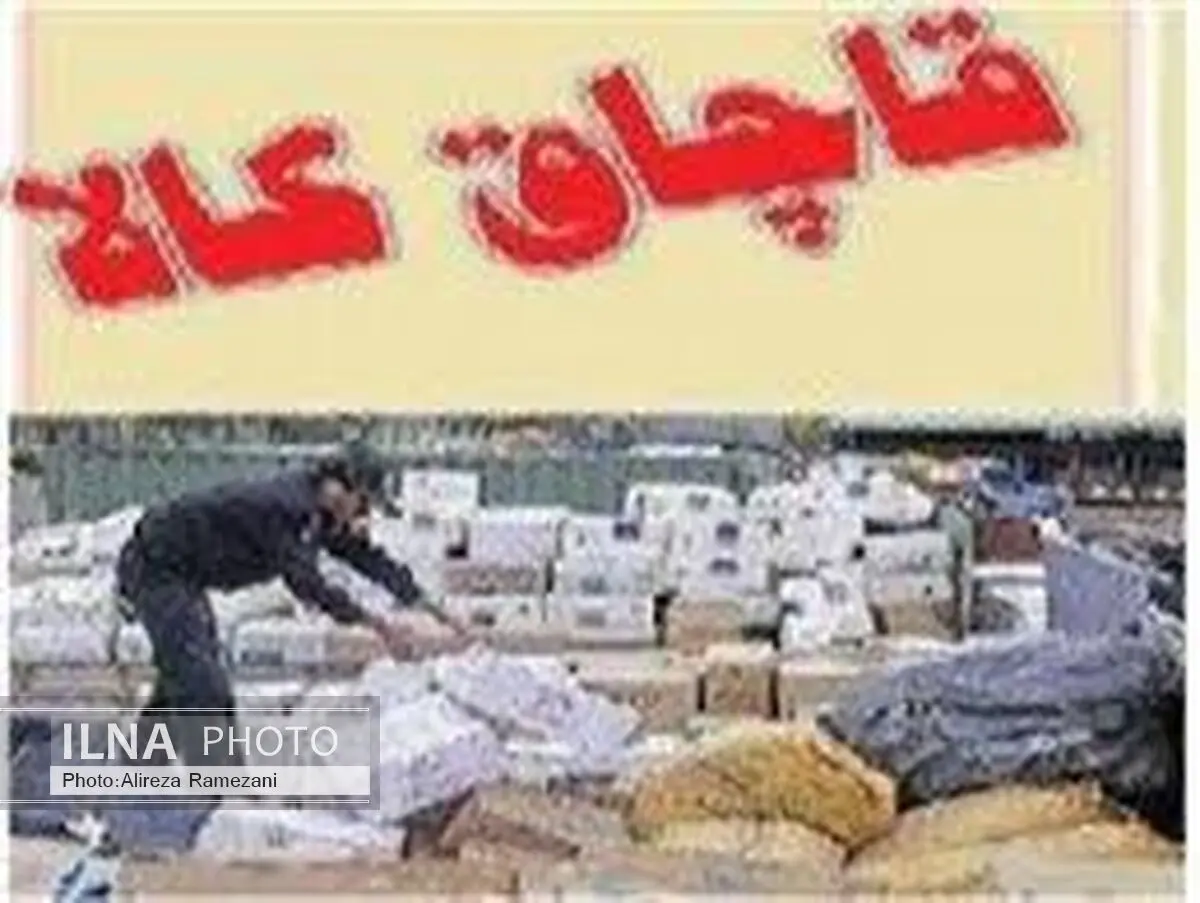 اجرای طرح ملی قاچاق کالا در چهارمحال و بختیاری 