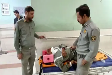 مصدومیت 2 محیط‌بان پارک ملی تندوره در درگیری با شکارچیان غیرمجاز