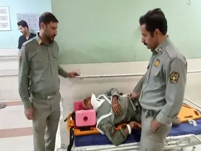 مصدومیت 2 محیط‌بان پارک ملی تندوره در درگیری با شکارچیان غیرمجاز