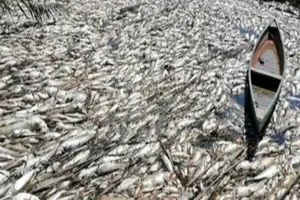 مرگ ماهی‌های هورالعظیم تکرار فاجعه‌ی سال‌های گذشته است