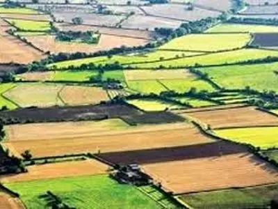 جلوگیری از تغییر کاربری بیش از  ۱۵ هزار  کیلومترمربع از اراضی حاصلخیز و باغی لرستان