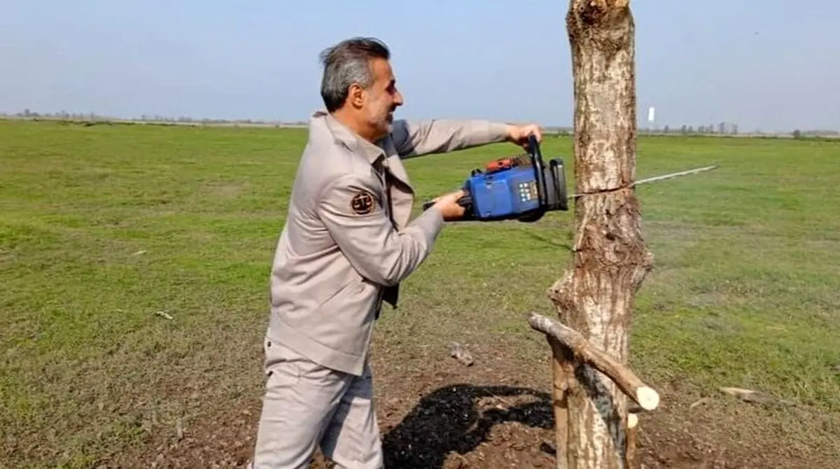 جمع‌آوری تله‌های موسوم به «تله بازگیری» در خمام