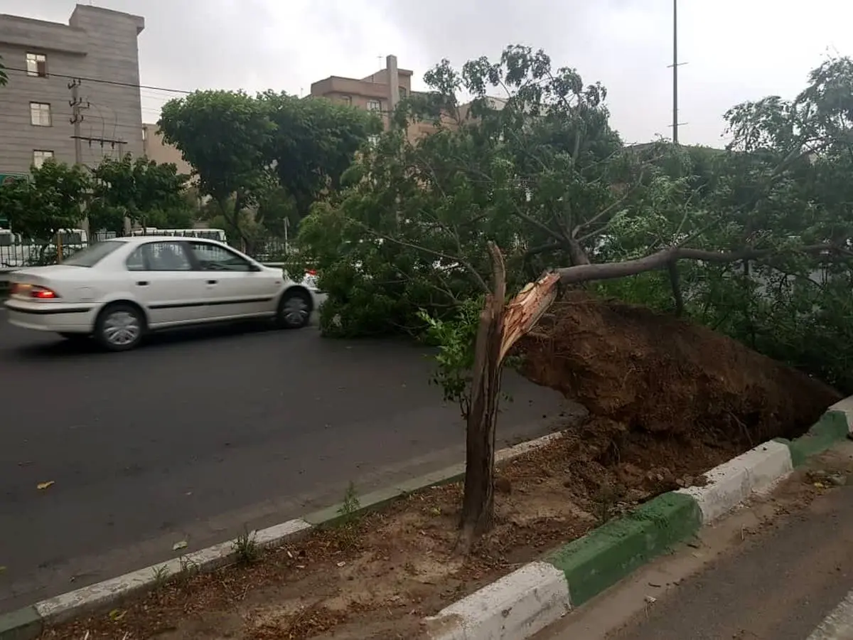 اعلام ۱۴۰ حادثه براثر وقوع طوفان و وزش باد شدید