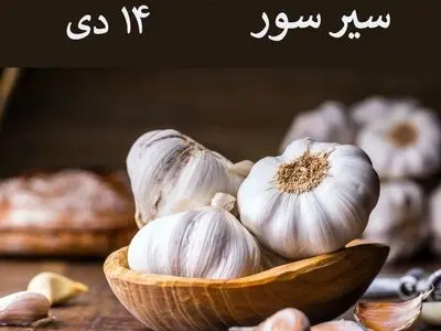 ۱۴ دی در تقویم ایران باستان روز سیر سور است