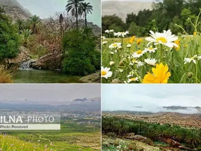 سفر به افسانه‌های کهن، جام جم و لیمو