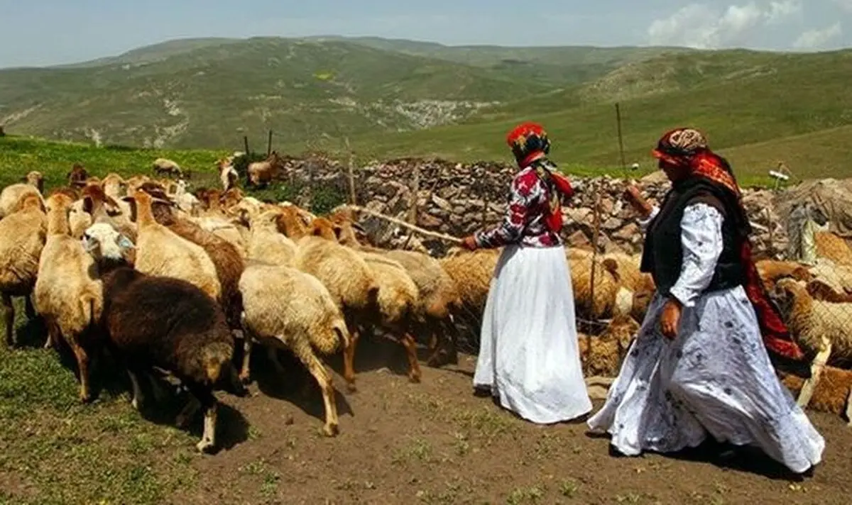 کسب رتبه اول شهرستان قوچان در اشتغالزایی عشایری در سطح کشور 