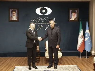 Iran ready to transfer nuclear know-how to Turkiye: AEOI chief