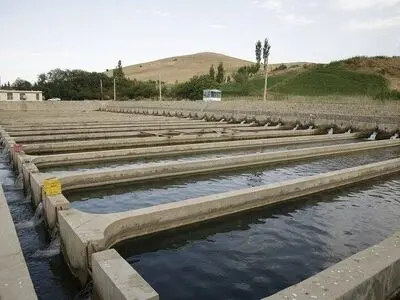 پرورش‌دهندگان ماهی تمهیدات لازم برای خاموشی برق چاه‌های کشاورزی را اتخاذ کنند