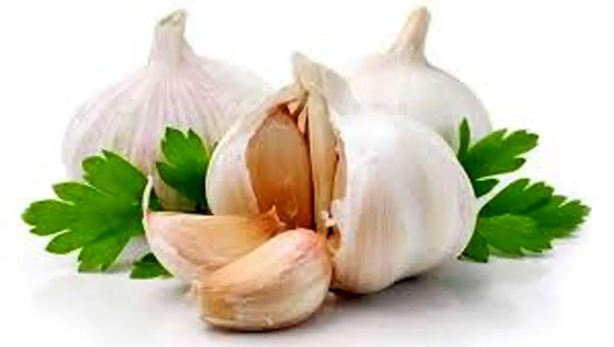 سیر را چطور بخوریم که بیشترین فایده را داشته باشد؟ + فیلم