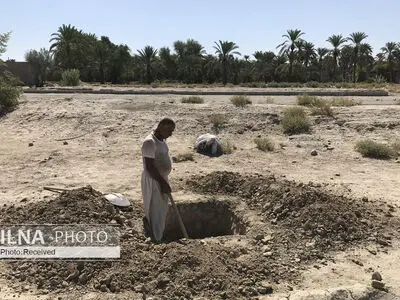تحولات فرهنگی و تاریخی «شهر دراز» مستند‌سازی می‌شود/ تعیین حریم گورستان پیشاتاریخ ایرانشهر
