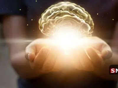 چند عادت ساده برای تقویت و سلامت مغز