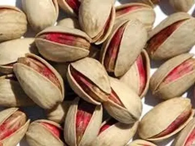 راه نجات پسته تقویت شرکت تعاونی پسته است