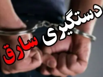 دستگیری یک نفر سارق حرفه‌ ای در تبریز 