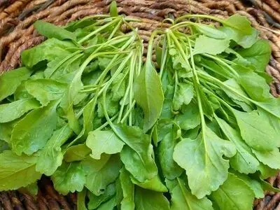 خواص دارویی شاهی که نمی دانستید