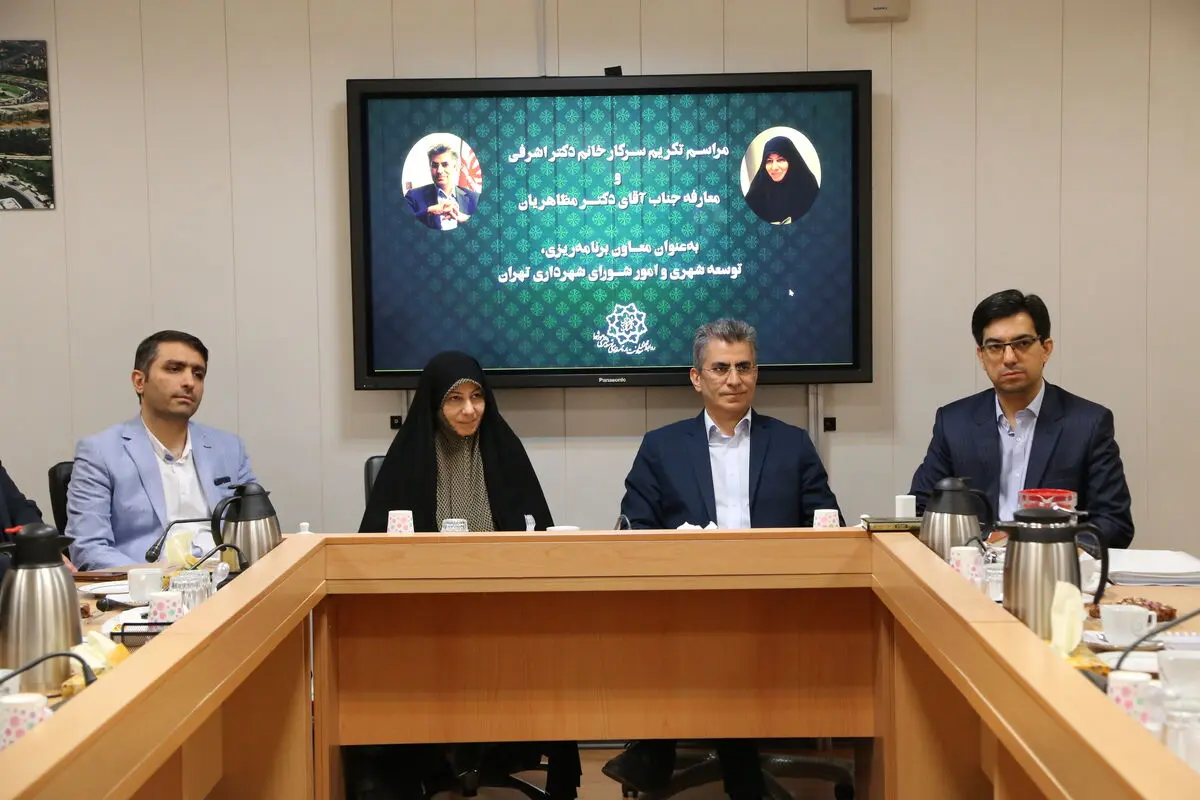 میانگین تحقق برنامه‌های ۵ ساله در کشور ۳۰ درصد است