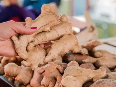 ترکیب شگفت‌انگیز برای قطع ریزش مو و شوره سر