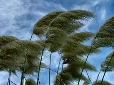 پیش‌بینی وزش تندباد با سرعت 70 کیلومتر در تهران