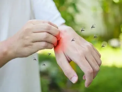 موثرترین راه‌ دفع پشه‌ها