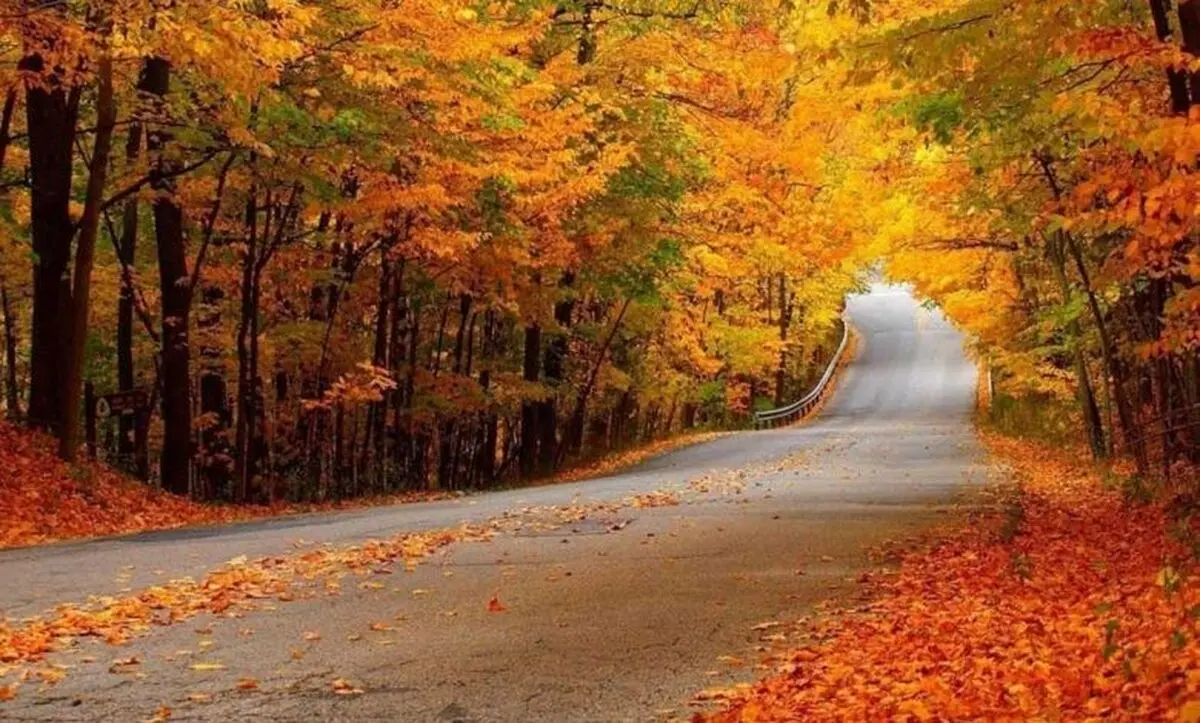 پارک جنگلی النگدره؛ زیبایی فراتر از تصور
