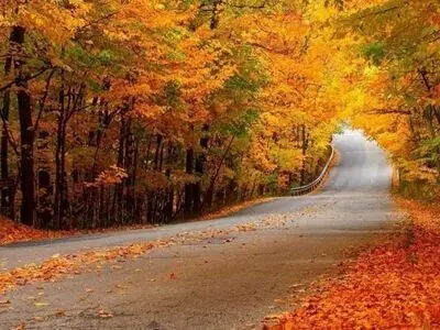 پارک جنگلی النگدره؛ زیبایی فراتر از تصور
