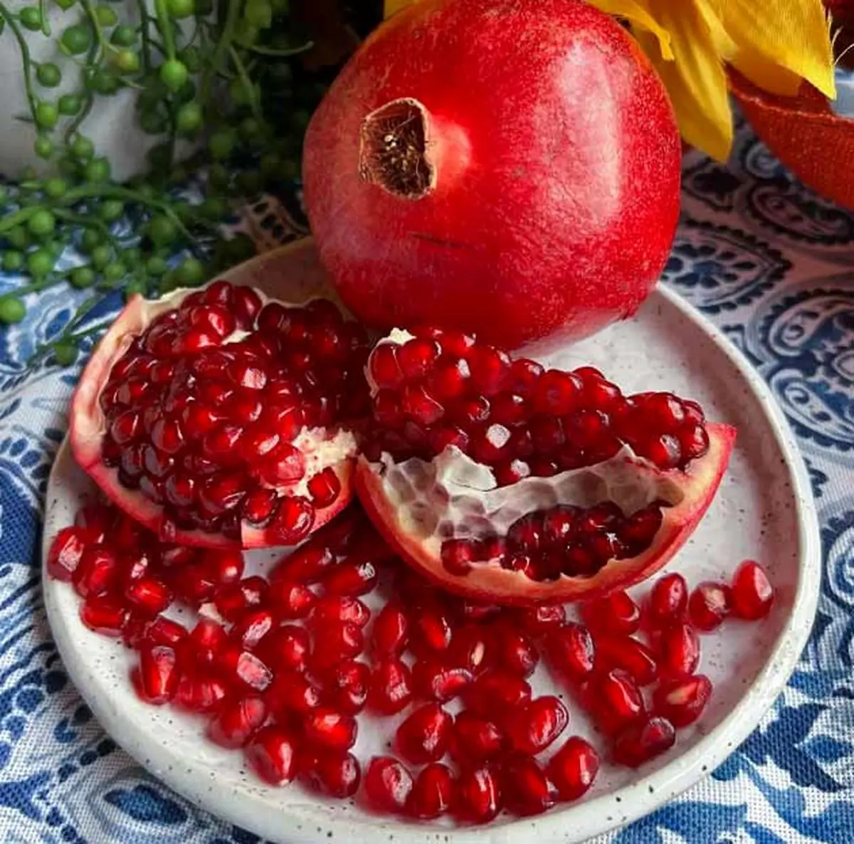 مقام دوم تولید و مقام نخست کیفیت انار در دستان استان مرکزی / ایران خاستگاه انار و شهرستان ساوه زادگاه انار