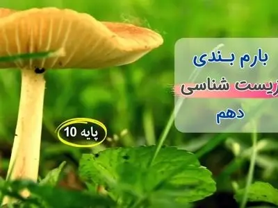 asdasd