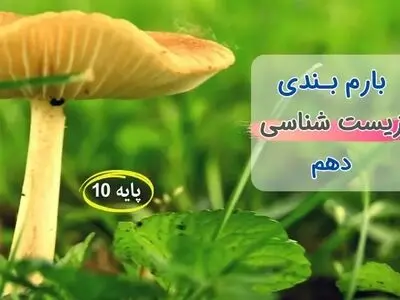 بارم بندی زیست شناسی دهم ۱۴۰۳ [خرداد-شهریور-دی]