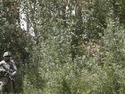 اتهام ۴۰ شرکت خارجی به جاسوسی در عراق