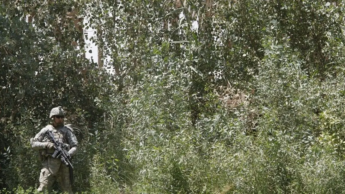 اتهام ۴۰ شرکت خارجی به جاسوسی در عراق