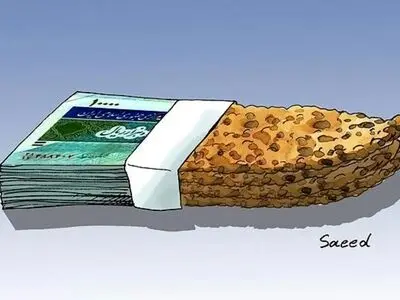 ۶۱ نماینده مجلس خواستار جلوگیری از گرانی نان شدند