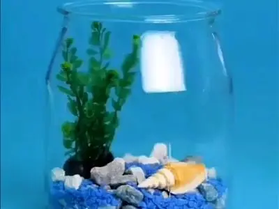asdasd