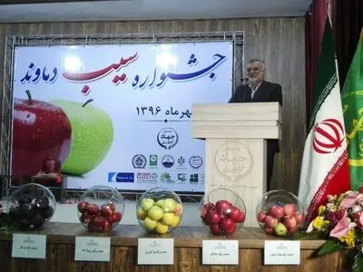 امکان‌ حذف دلالان در بازار محصولات کشاورزی با تقویت زنجیره تولید/سیب دماوند سرآمد سیب‌های کشور