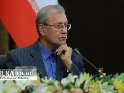 نگرانی سخنگوی دولت از برخی تلاش‌ها برای کاهش مشارکت مردم در انتخابات 