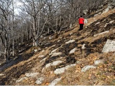 مهار آتش‌سوزی در جنگل‌های مرزن‌آباد 