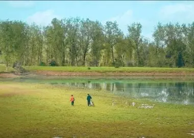 «به یادت افتادم»؛ روایتی شخصی از مهاجرت، دلتنگی و پذیرش خود 