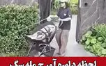 لحظه دلهره‌آور حمله سگ در خیابان فرشته تهران + فیلم