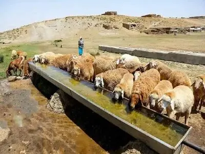 احداث 859 متر آبشخور برای عشایر قزوین