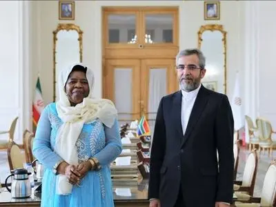 باقری با معاون وزیر خارجه آفریقای جنوبی دیدار کرد 