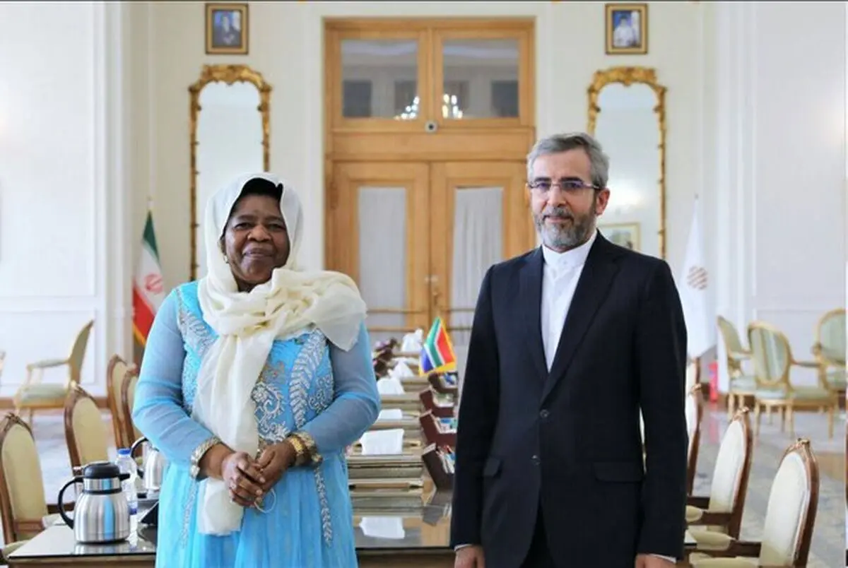 باقری با معاون وزیر خارجه آفریقای جنوبی دیدار کرد 