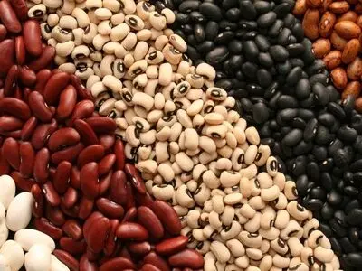 قیمت هر دانه لوبیا به ۱۷۵ تومان رسید!