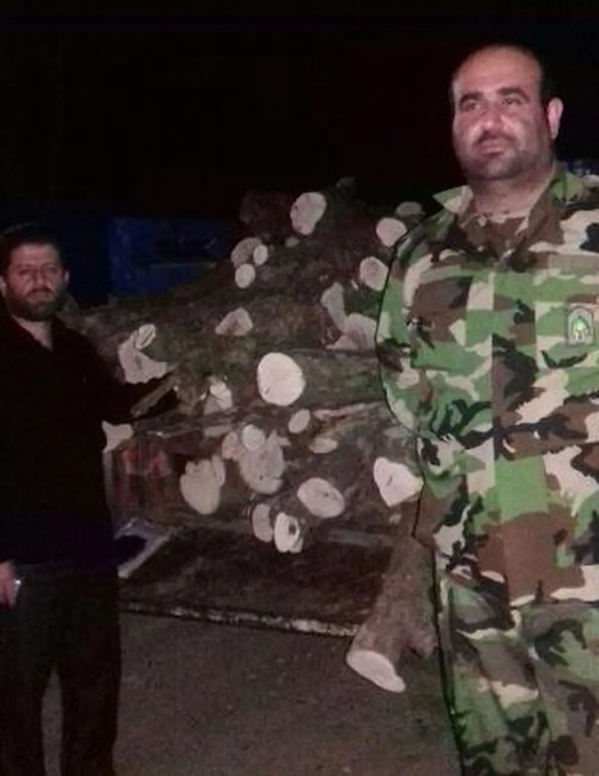 کشف چوب قاچاق در شهرستان شفت