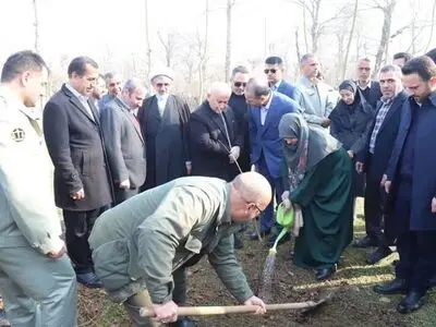  نهال کاشتن رئیس سازمان حفاظت محیط زیست در شهر گلوگاه بابل