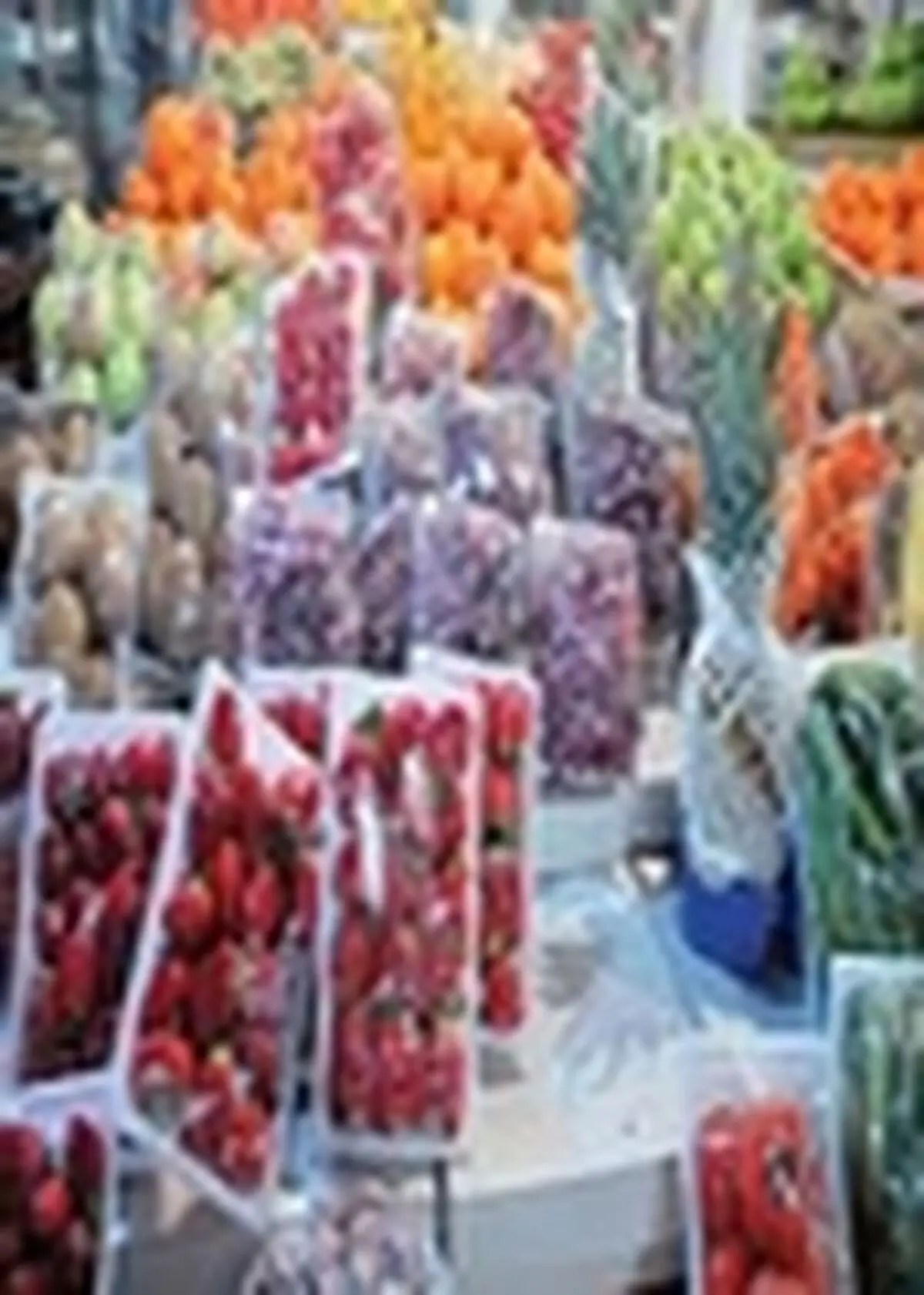 صادرات بیش از ۲۶ هزار تن انواع محصولات کشاورزی مازندران به خارج از کشور