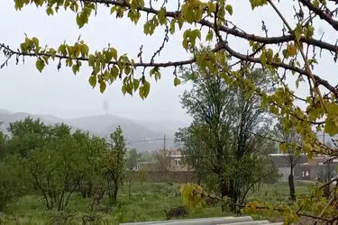 بارش برف در شهرستان راز خراسان شمالی+ فیلم