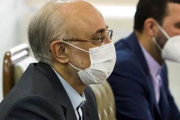 AEOI Chief: Iran's national Ion therapy center to be set up soon