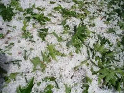  بارش شدید تگرگ در روانسر کرمانشاه + فیلم