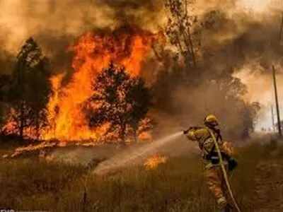 فاز نخست مانور اطفاء حریق جنگل‌ها برگزار می‌شود