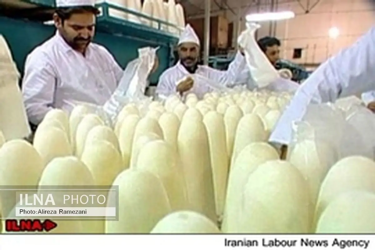 ضریب استحصال شکر درکارخانه قند چهارمحال و بختیاری افزایش یافت
