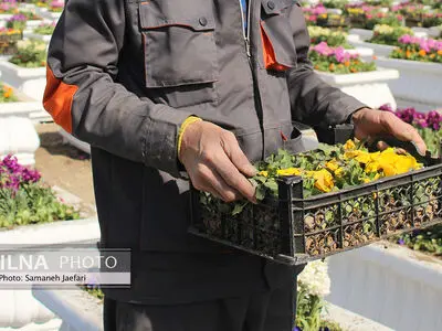مشهد در تدارک استقبال از بهار ۱۴۰۲ 